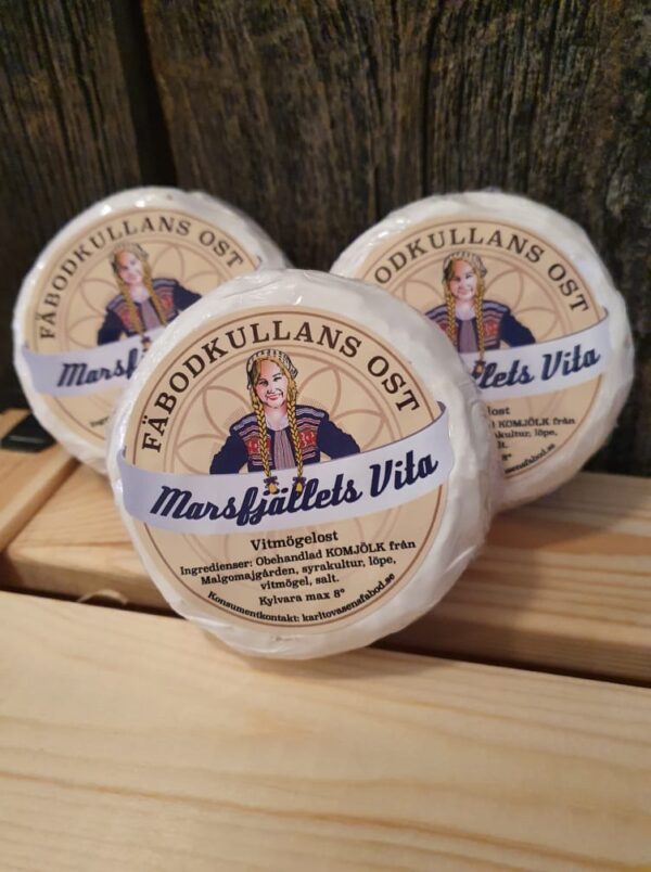 Marsfjällets vita